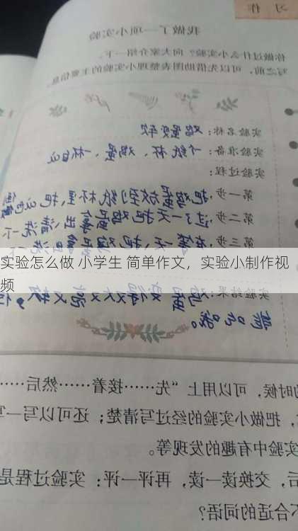 实验怎么做 小学生 简单作文，实验小制作视频