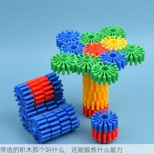 带齿的积木那个叫什么，还能锻炼什么能力