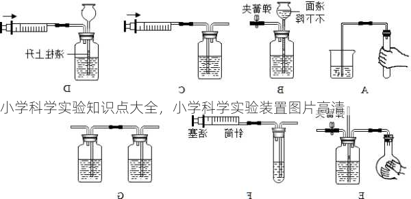 小学科学实验知识点大全，小学科学实验装置图片高清