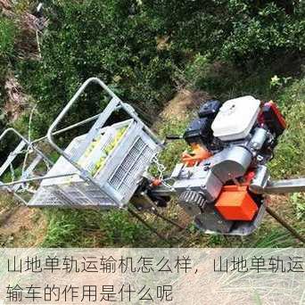 山地单轨运输机怎么样，山地单轨运输车的作用是什么呢