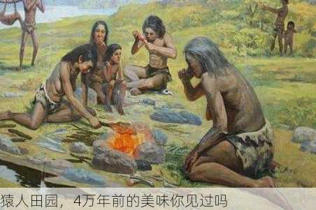 猿人田园，4万年前的美味你见过吗