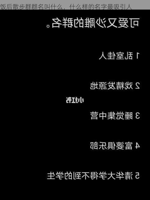 饭后散步群群名叫什么，什么样的名字最吸引人