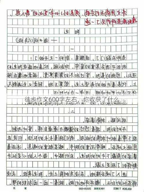 徒步作文600字左右，你收获了什么