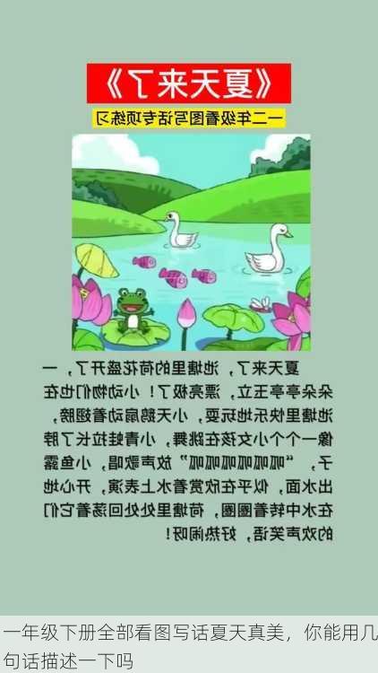 一年级下册全部看图写话夏天真美，你能用几句话描述一下吗