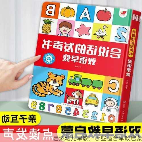 启蒙幼儿早教，哪些适合早教启蒙