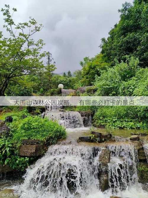 大围山森林公园攻略，  有哪些必打卡的景点
