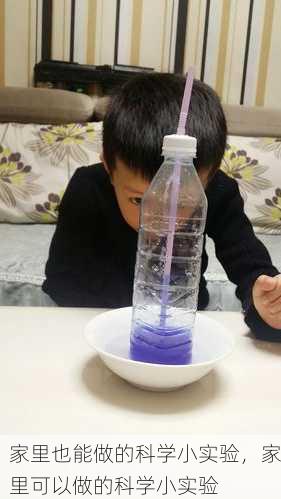 家里也能做的科学小实验，家里可以做的科学小实验