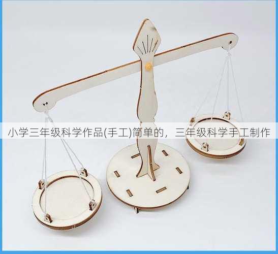 小学三年级科学作品(手工)简单的，三年级科学手工制作