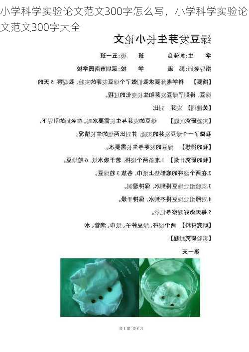 小学科学实验论文范文300字怎么写，小学科学实验论文范文300字大全