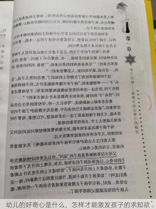 幼儿的好奇心是什么，怎样才能激发孩子的求知欲