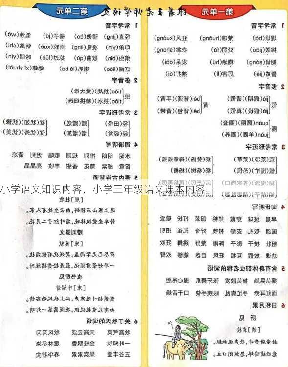 小学语文知识内容，小学三年级语文课本内容