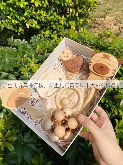 新生儿玩具排行榜，新生儿玩具品牌十大排名榜最新