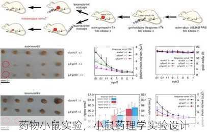 药物小鼠实验，小鼠药理学实验设计