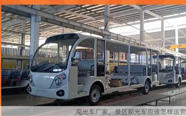 观光车厂家，景区观光车应该怎样运营