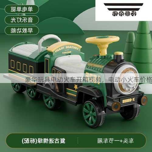豪华玩具电动火车开箱视频，电动小火车价格