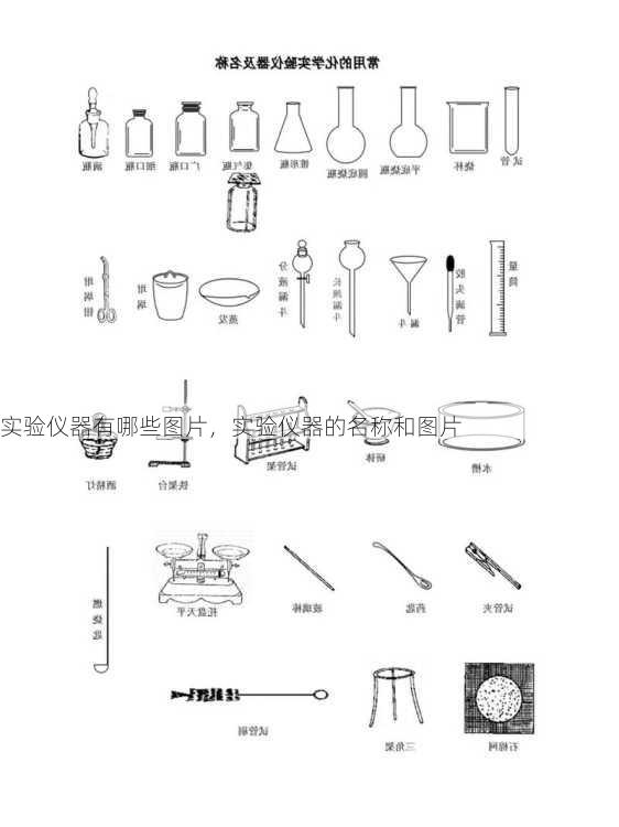 实验仪器有哪些图片，实验仪器的名称和图片