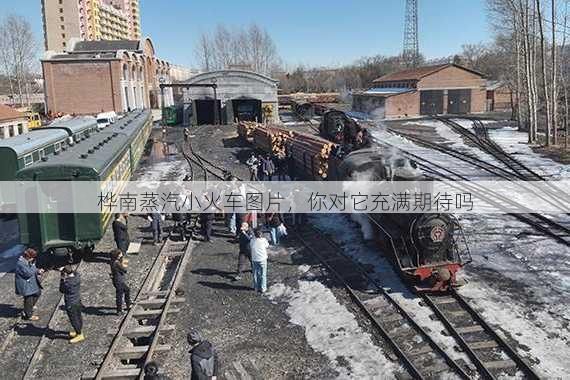 桦南蒸汽小火车图片，你对它充满期待吗
