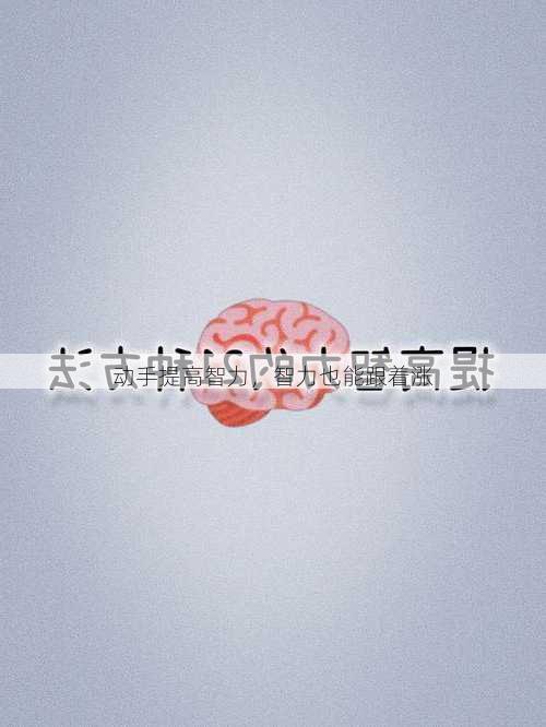 动手提高智力，智力也能跟着涨