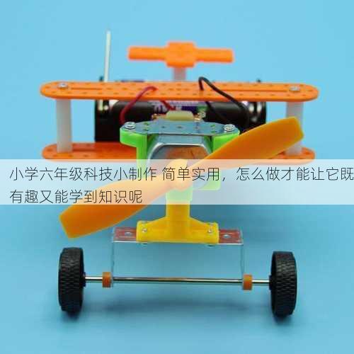 小学六年级科技小制作 简单实用，怎么做才能让它既有趣又能学到知识呢