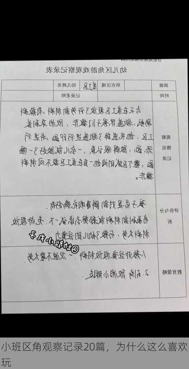 小班区角观察记录20篇，为什么这么喜欢玩