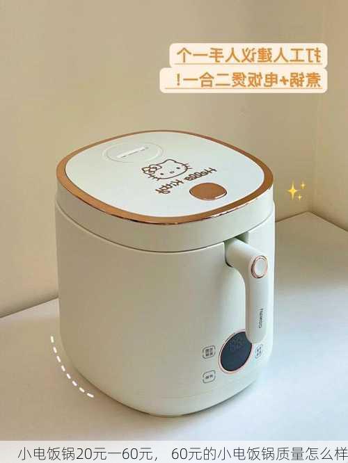 小电饭锅20元一60元， 60元的小电饭锅质量怎么样