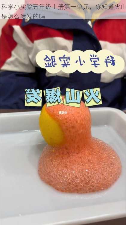 科学小实验五年级上册第一单元，你知道火山是怎么喷发的吗