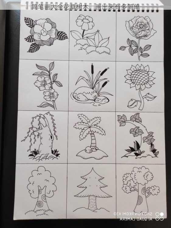 简笔画大全花草树木，画出来有多简单