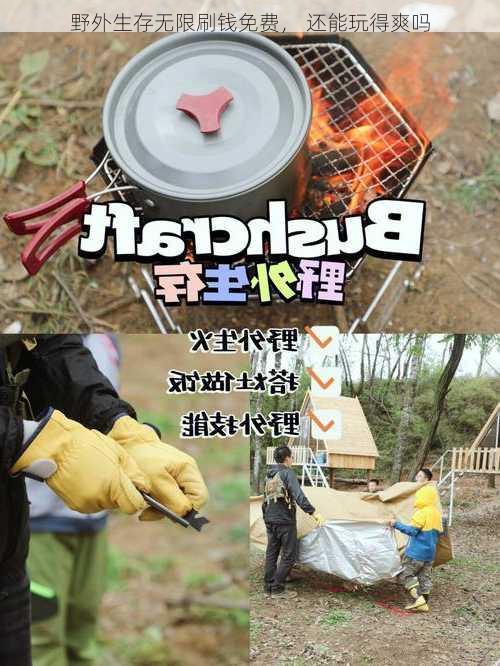 野外生存无限刷钱免费， 还能玩得爽吗