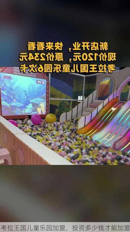 考拉王国儿童乐园加盟，投资多少钱才能加盟