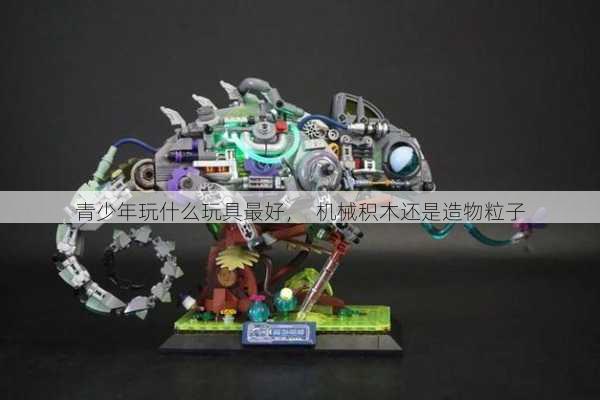 青少年玩什么玩具最好，  机械积木还是造物粒子