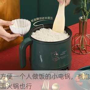 方便一个人做饭的小电锅，煮泡面火锅也行