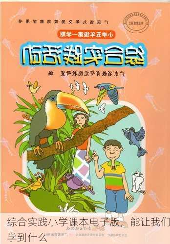 综合实践小学课本电子版，能让我们学到什么